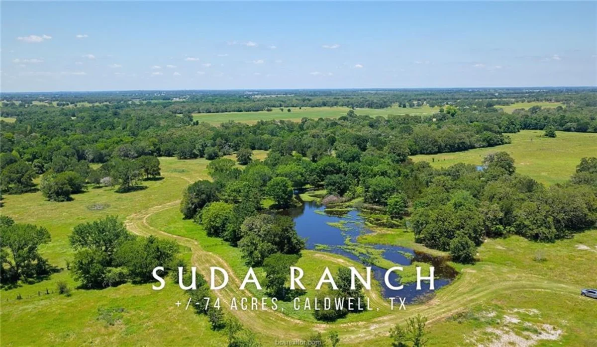 Aerial view of Suda Ranch, 74 acres of pasture and a pond on County Road 132 near Caldwell, Texas