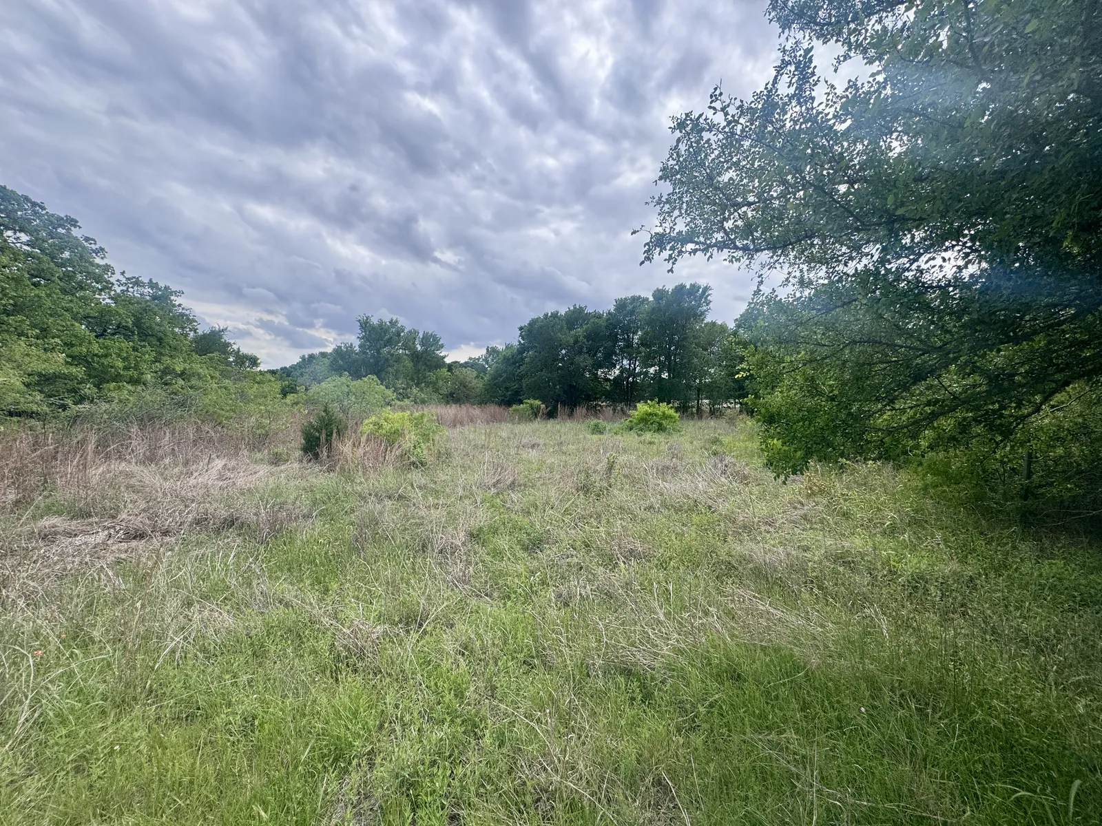 Grassy residential lot bordered by trees on James Craft Road near Somerville, Texas